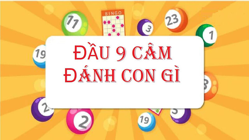 Cam Dau 9 Ngay Mai Danh Con Gi 1 1
