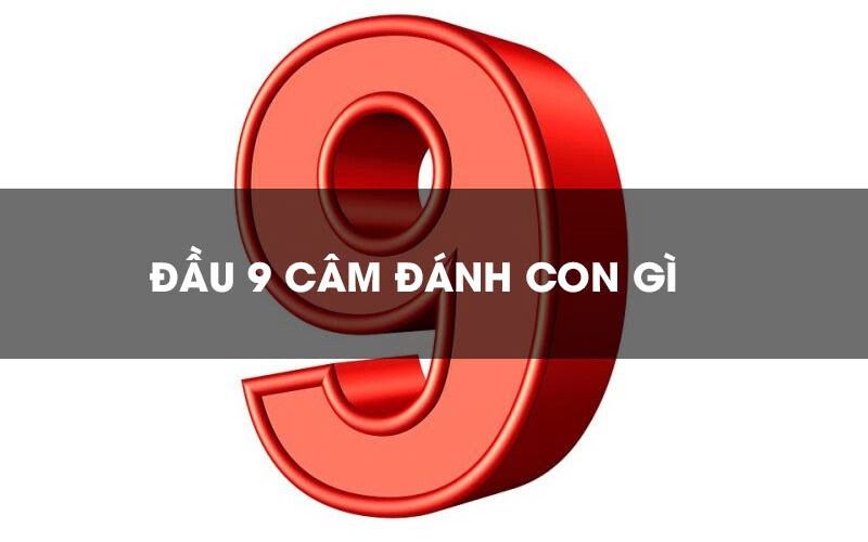 Cam Dau 9 Ngay Mai Danh Con Gi
